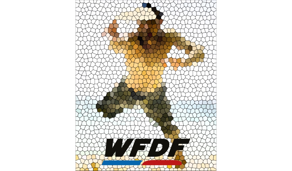 Reglementswijzigingen vanaf 2017